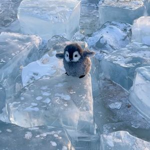 Meet your Posher, Ruby